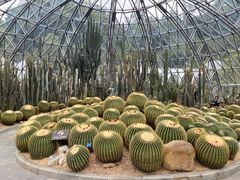 -深圳仙湖植物园