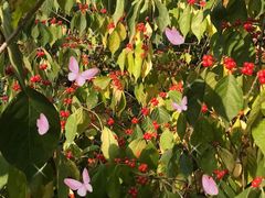 -滨河世纪广场公园