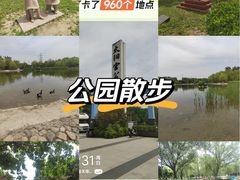 -太阳宫公园