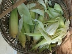 -宾湖农庄·农场特色(太湖龙之梦店)