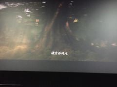 -CGV影城(金银潭激光IMAX店)