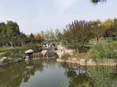 -西海子公园