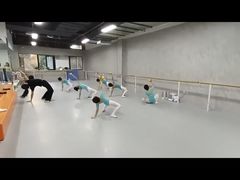 -舞蕾舞蹈(特长生校区)