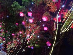 -大雁塔文化休闲景区-北广场