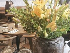-Apollo·西班牙小酒馆(安福路店)