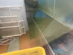 -鱼酷活鱼烤鱼(沈阳大悦城店)