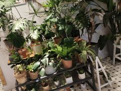 -The Green Party(嘉里中心店)