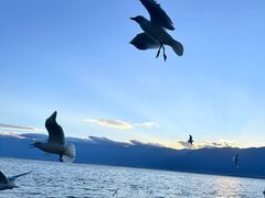 -六阅·福十 FORTEN 海景咖啡西餐厅(双廊古镇店)