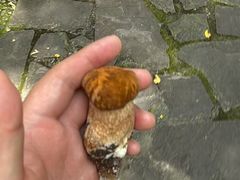 -武侯墓风景区