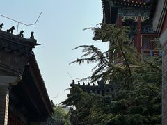 -北京艺术博物馆(万寿寺)