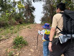 -青龙山国家森林公园