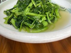 -小小饭店·休闲农庄·安吉松树林里的农家菜