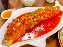 -聂记粤菜馆(鼓西路店)