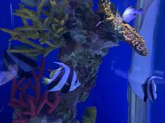 -上海海昌海洋公园