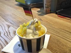 -JW德国冻酸奶Frozen Yogurt(龙湖成都滨江天街店)