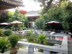 -大唐博相府酒店·陕西官府菜