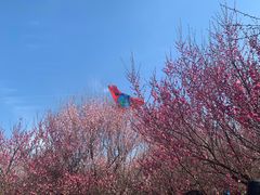 -蜀冈西峰生态公园