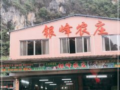 -银峰农庄·特色烧鸡·鲜无花果浸鸡