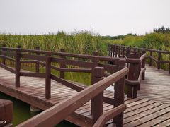 -西青郊野公园