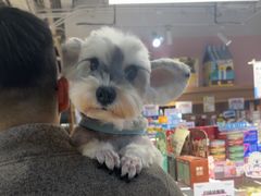 -FAELING PETS美天灵宠物(富力广场店)