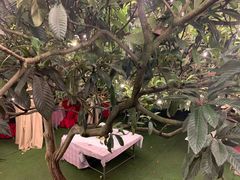 -正宗火盆自助烧烤·烤全羊·柴火鸡(龙泉山店)