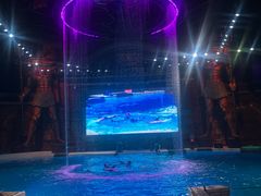 -哈尔滨波塞冬海底世界