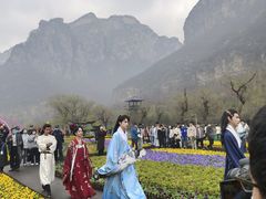 -云台山风景名胜区