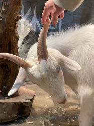 -Zoolung Zoolung动物主题公园(海信广场店)