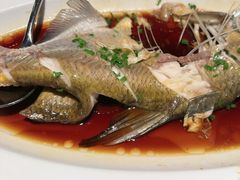 -曾宴·楚菜(湖北省博物馆店)