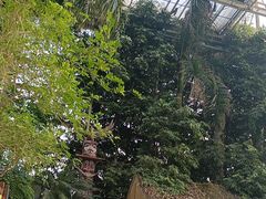 -龙达温泉生态城