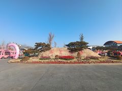 -荷兰花海