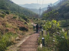 -长沙黑麋峰国家森林公园