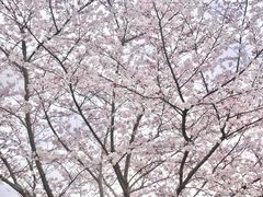 -长田漾湿地公园