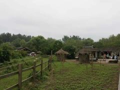 -溱湖国家湿地公园