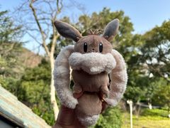 -杭州花家山庄