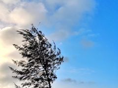 -白沙门生态公园