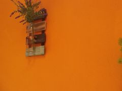 -泰古龙抓龙筋·spa按摩(静安店)