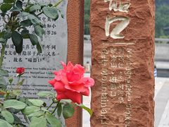 -磁器口古镇