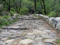 -阳台山自然风景区