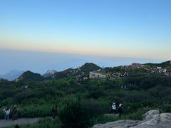 -泰山风景名胜区