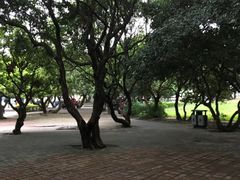 -四海公园(南山区)