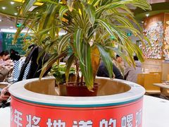 -水平有限广西米粉·广西风味集(五道口店)