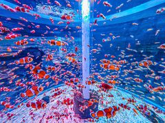 -海合安成都极地海洋公园