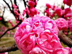 -玲珑塔公园