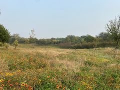 -永定河休闲森林公园