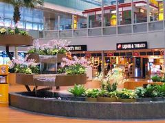 -樟宜机场免税店