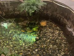 -顺峰(农展馆店)