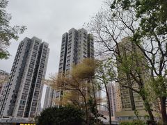 -大荣华酒楼(元朗老店)