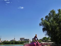 -莲花池公园
