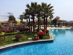 iphone_upload_pic-上海东方佘山翰悦阁酒店·Vie全日制餐厅